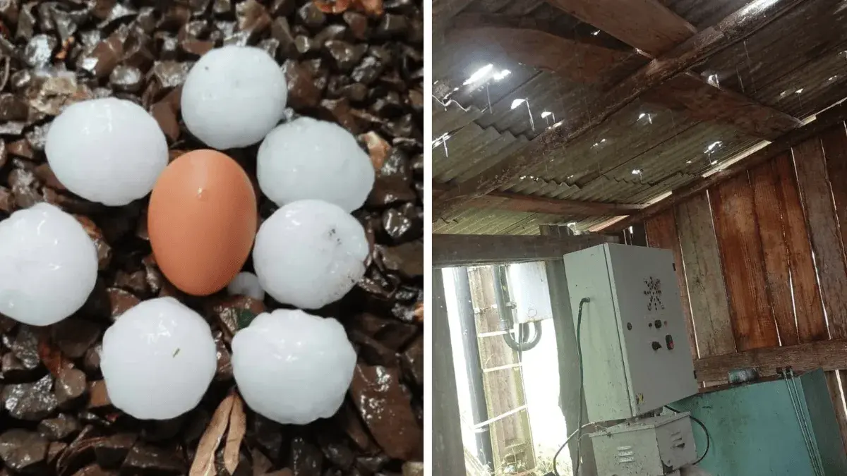 Temporal com granizo causa estragos em cidades do Oeste