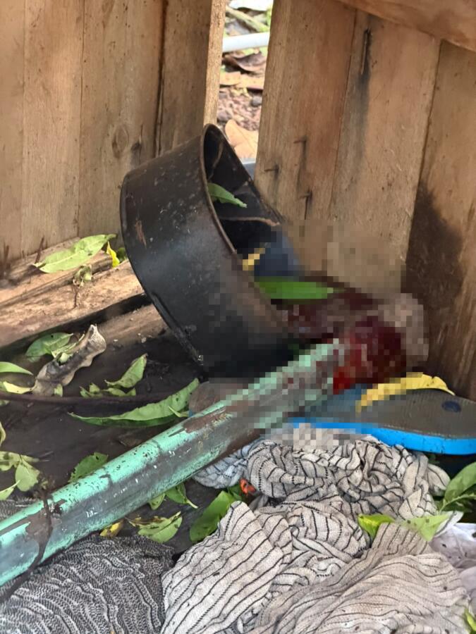 DIC vai investigar morte de cão após prisão em flagrante de mulher em SMO