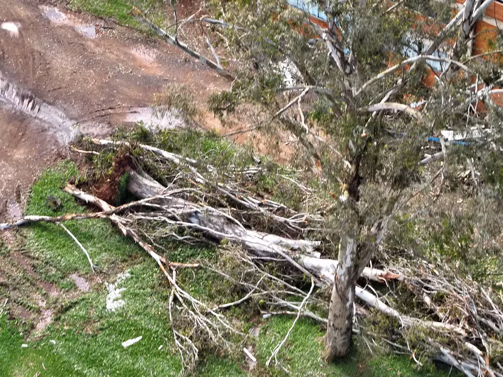 Defesa Civil confirma tornado em Campo Erê