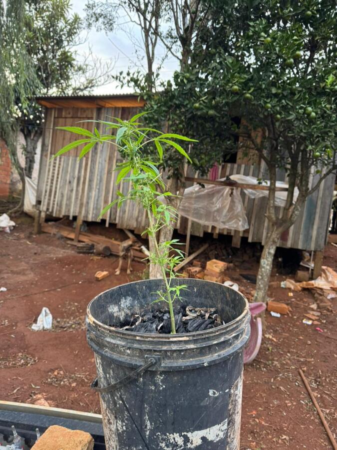 Polícia Civil cumpre mandado em investigação por ameaça com arma de fogo em Campo Erê