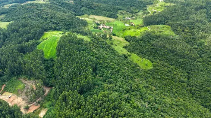 SC divulga abertura de inscrição no programa Mais Verde
