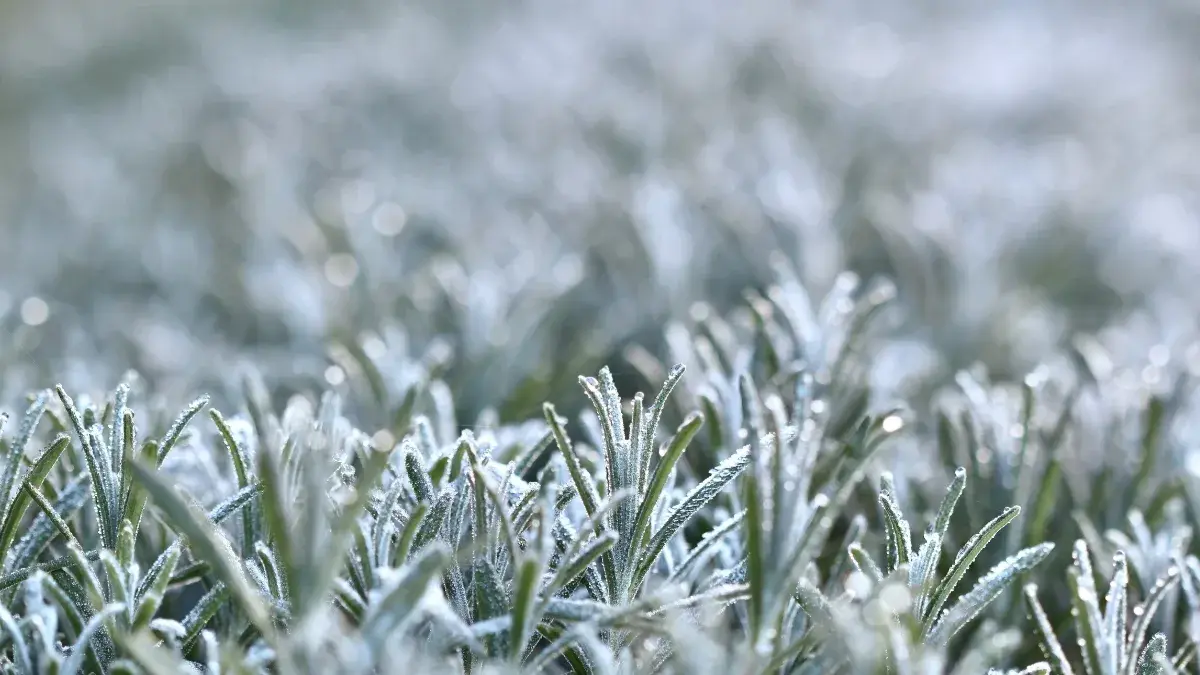 Frente fria e massa de ar polar derrubam temperaturas em SC no fim de semana