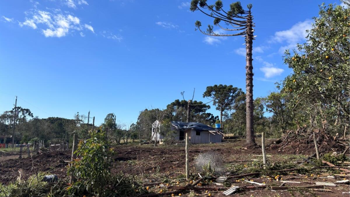 Simepar confirma tornado F2 com ventos de 200 km/h no Paraná