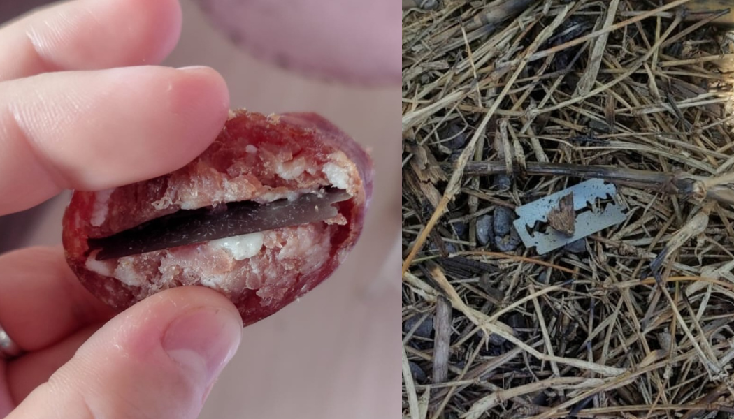 Lâminas são escondidas em salame e colocam animais em risco em Concórdia