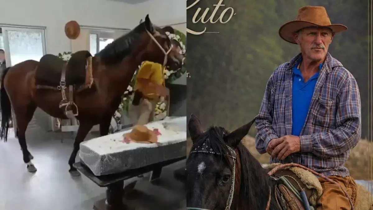 Cavalo “chora” em velório do dono e emociona família em Blumenau