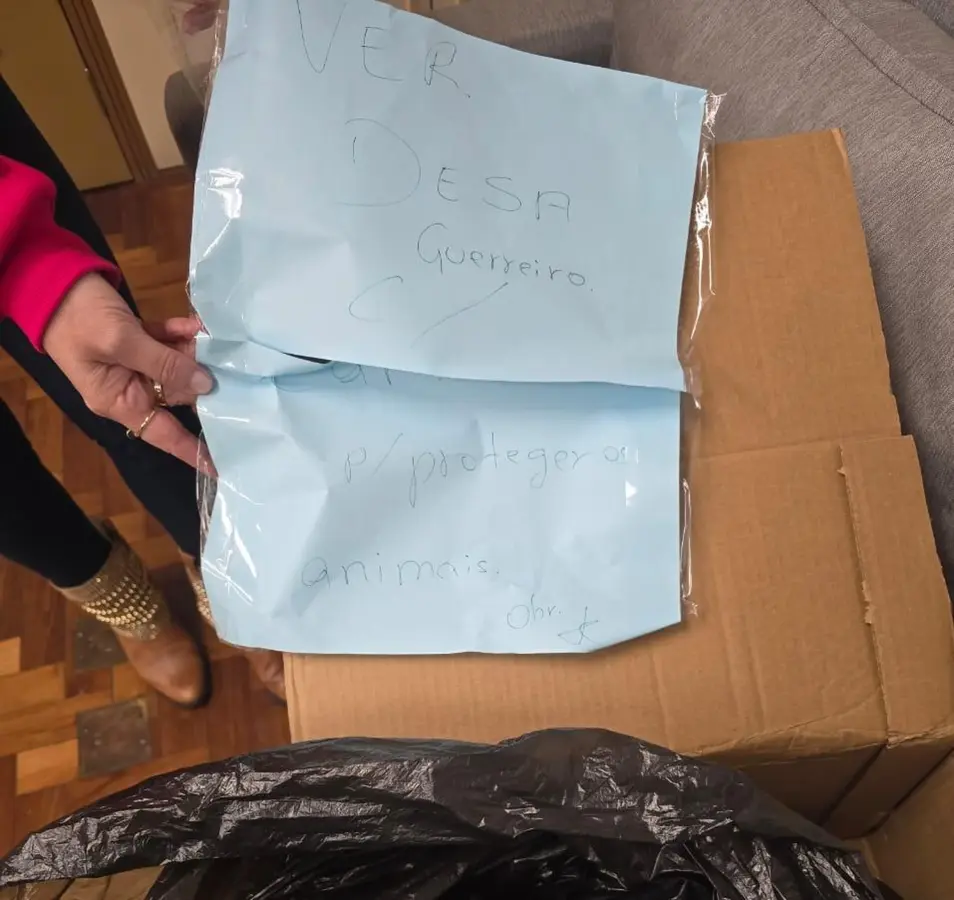 Vereadora recebe corpo de cachorro em caixa no gabinete em Novo Hamburgo