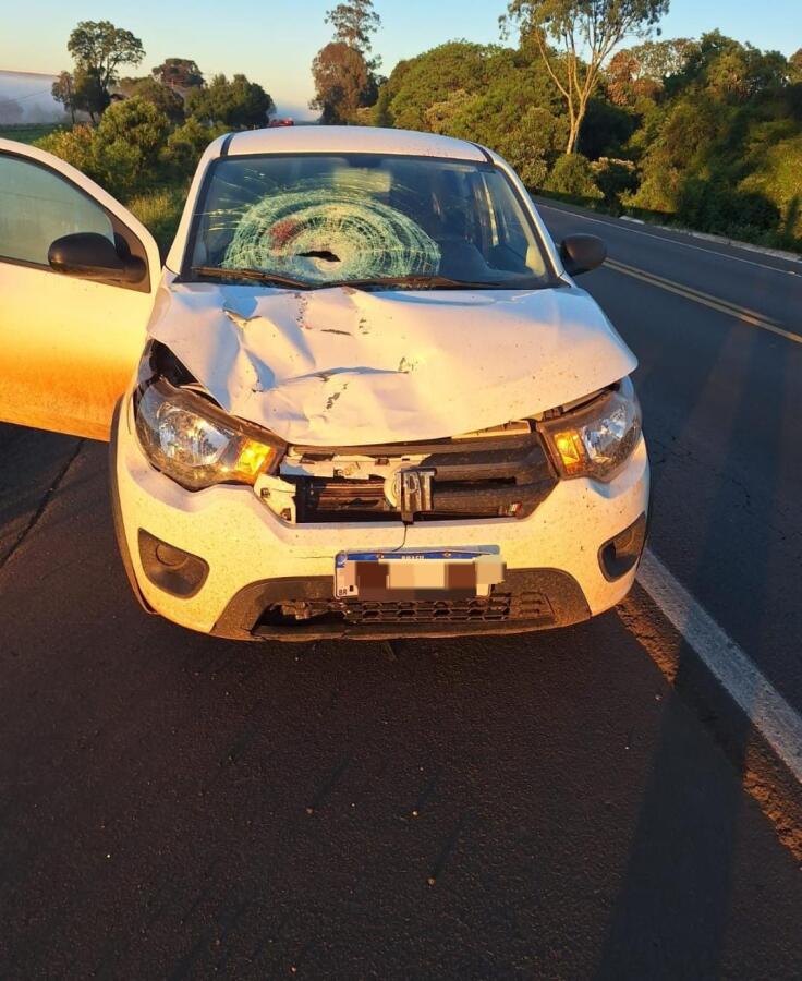 Homem morre atropelado por carro na BR-282, em Xanxerê
