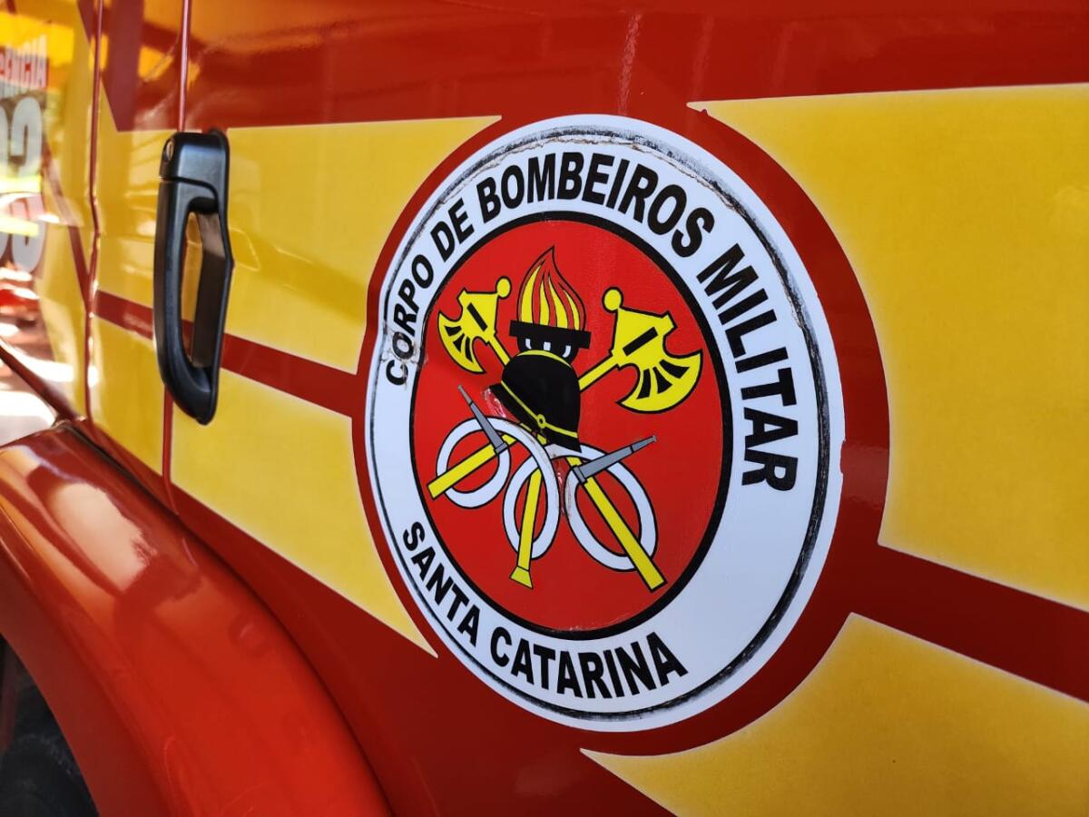 Homem morre em ataque de abelhas no interior de Itapiranga