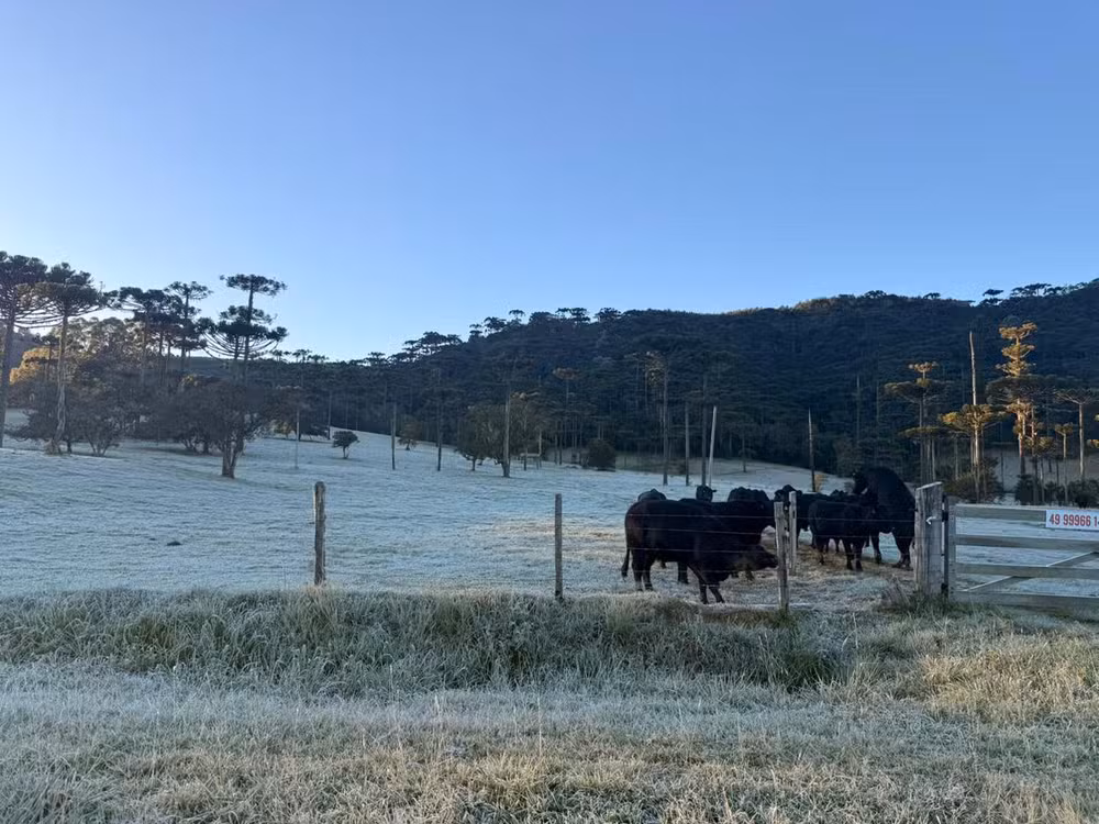 SC registra -3,07°C e amanhece com temperaturas negativas em pelo menos 13 cidades