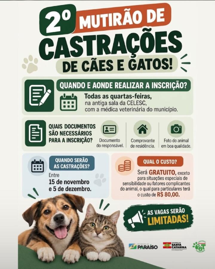 Paraíso prevê castração gratuita de mais de 120 cães e gatos em novembro