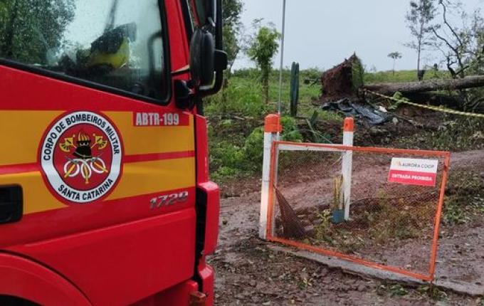 Homem morre ao ser atingido por árvore no interior de Palmitos