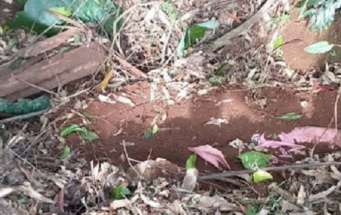 Suspeito de homicídio brutal em Palmitos é preso pela Polícia Civil em Riqueza