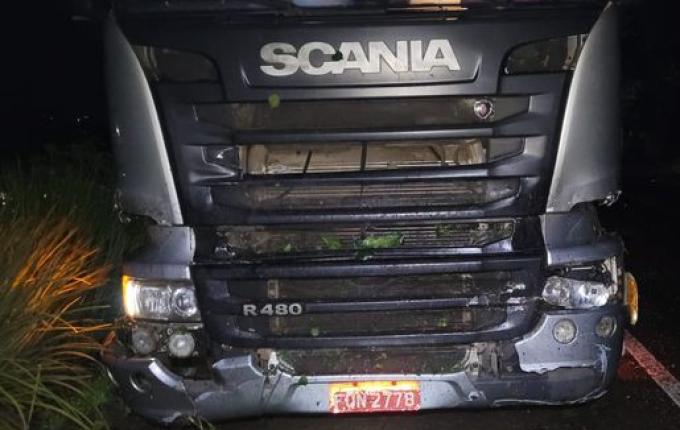 Caminhão colide em árvore caída na SC 163 em Itapiranga
