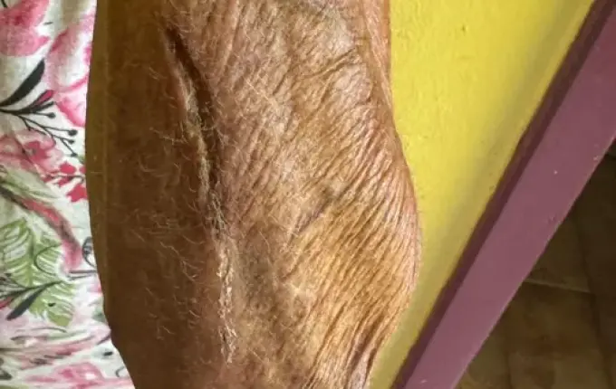 Idoso é preso em flagrante por posse de arma depois de agredir esposa em Itapiranga