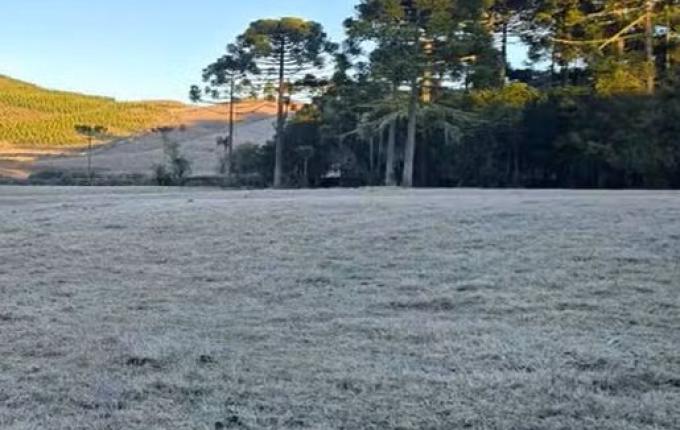 SC tem sequência gelada de inverno com mínima abaixo de -2ºC