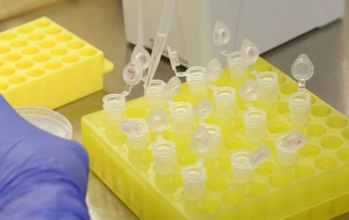 Universidade brasileira desenvolve vacina por spray nasal contra a Covid-19