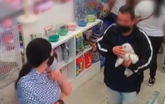 Oito cachorros são roubados por dia no Brasil; SC aparece em 2º lugar