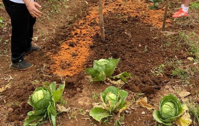 Cursos técnicos lançam novos desafios para o ensino médio na Regional de Itapiranga