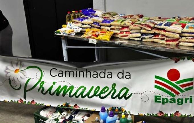 Caminhada da Primavera arrecada mais de 500 quilos de donativos em SMO