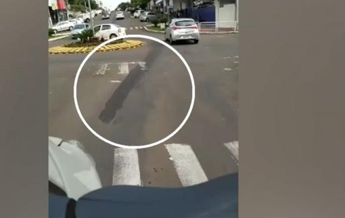 Motorista atropela e arrasta cachorro em SMO; vídeo