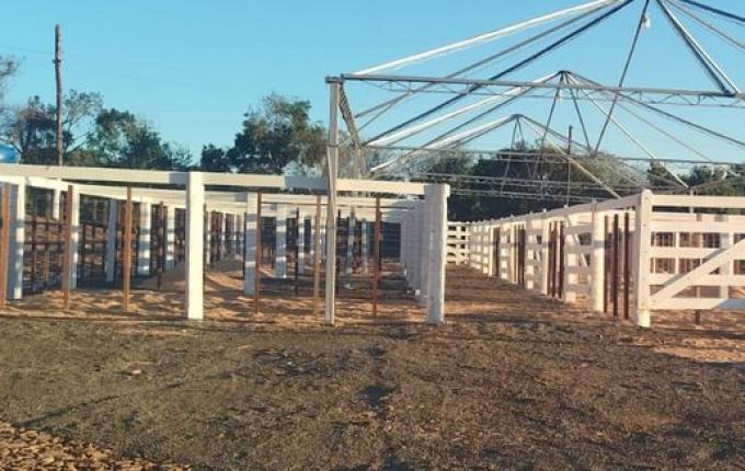 Expo Cedro 2025: Contagem regressiva para a maior edição desde a retomada