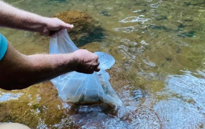 Comunidade realiza ação em prol do meio ambiente no interior de Itapiranga