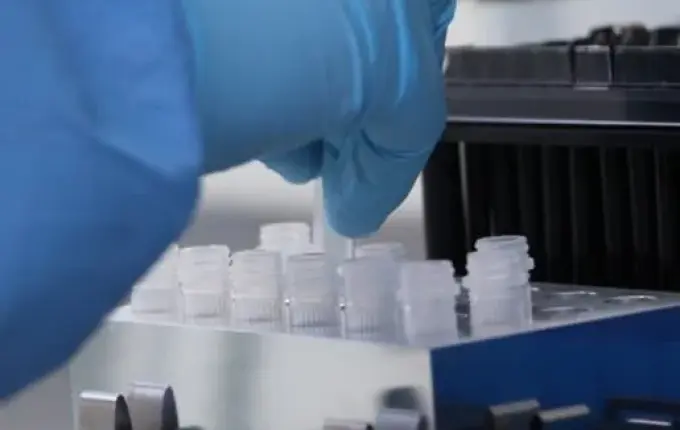 Saúde estadual acompanha casos de gripe K em Santa Catarina