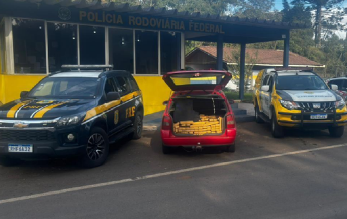 PRF e PM apreendem 240 Kg de maconha em operação conjunta