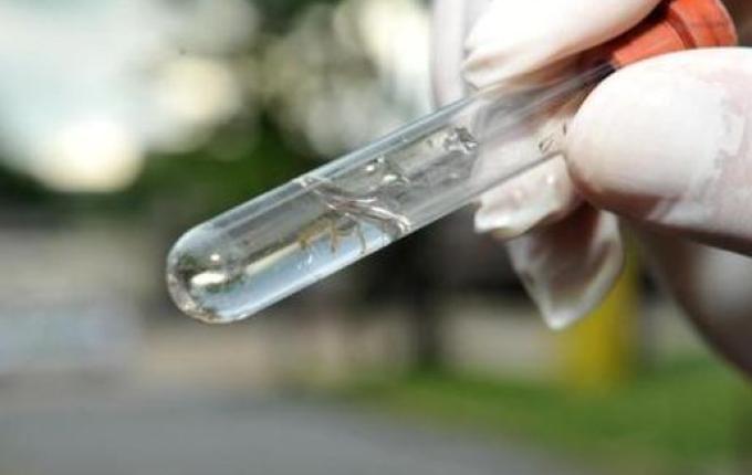 São Miguel do Oeste registra primeira semana sem Dengue