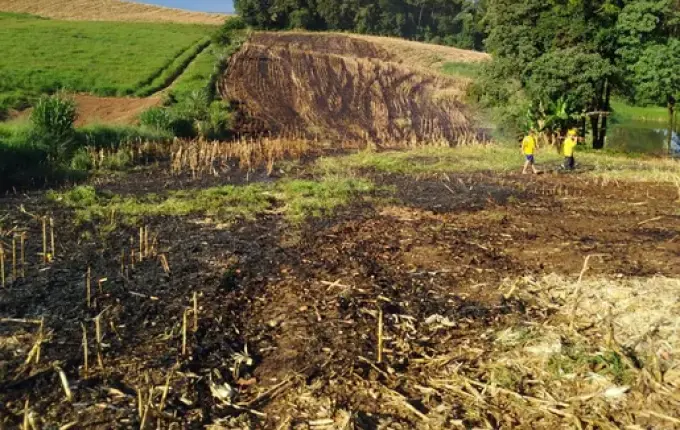 Dois incêndios em lavoura mobilizam bombeiros no interior de Maravilha