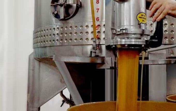 Mel de SC com medalha de ouro internacional sofre impacto com o tarifaço de Trump