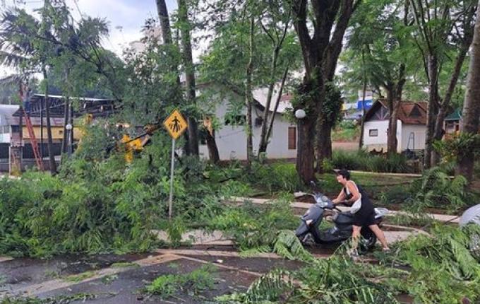 Fortes ventos derrubam árvores e danificam carros em Itapiranga