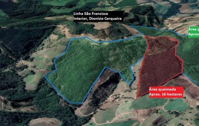 Bombeiros combatem incêndio em área de reflorestamento por 27 horas