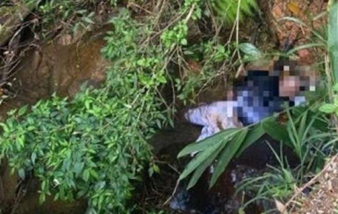 Corpo com marcas de violência é encontrado em Santa Catarina