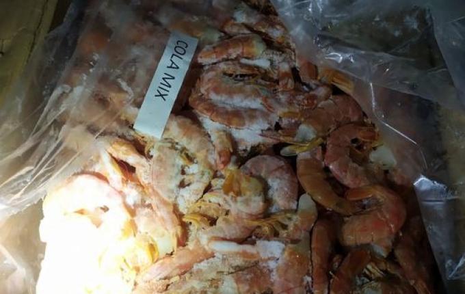 PRF apreende camarões e vinhos contrabandeados da Argentina na BR-282