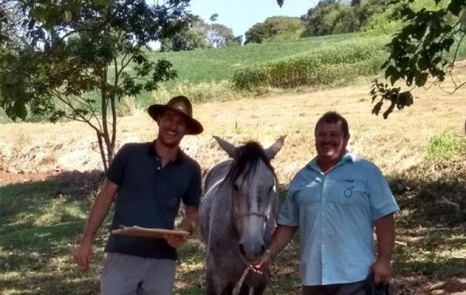 Grupo de criadores de Cavalo Campeiro realizam encontro em Tunápolis