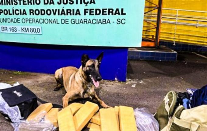 PRF prende traficante com mais de 11kg de maconha na BR-163 em Guaraciaba