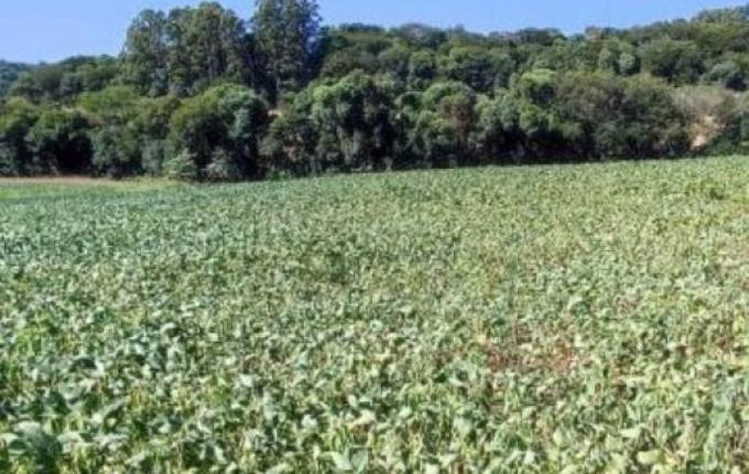 Seca atinge o Extremo Oeste e afeta lavouras em 11 cidades