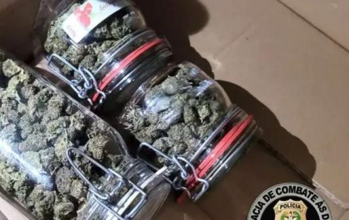 Saiba quem é o lutador famoso preso por suspeita de tráfico de drogas em SC