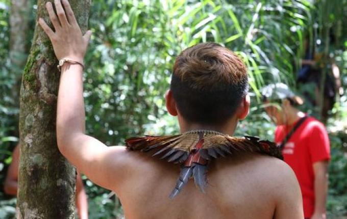 Briga termina em morte, feridos e casas incendiadas em aldeia indígena de SC