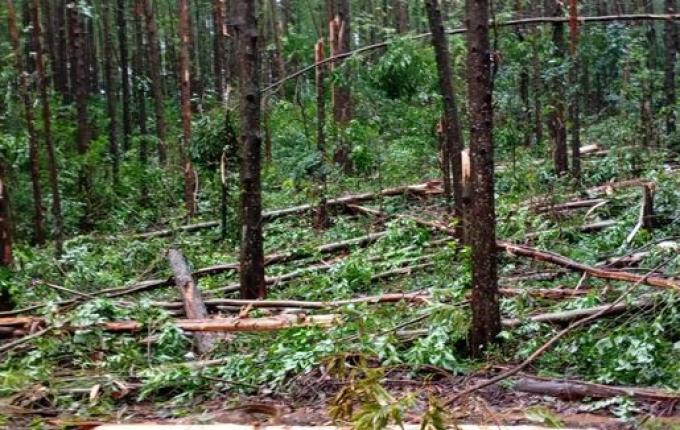 Município de Santa Helena é atingido por tornado de pequeno porte
