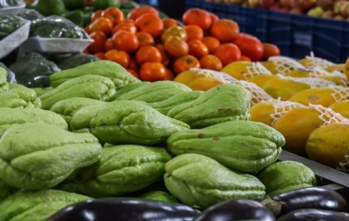 Santa Catarina lidera ranking nacional de segurança alimentar, aponta IBGE