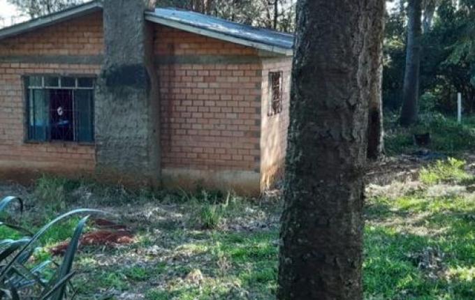 Homem é encontrado morto com marcas de tiro no crânio e tórax na região