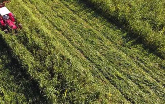 Tecnologia aliada à produção rural: cada real investido na Epagri gerou R$ 9,62 para SC