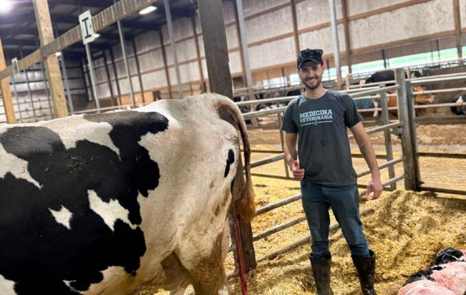 Estudante de Medicina Veterinária realiza estágio nos Estados Unidos e relata experiência