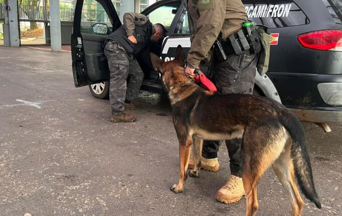 Curso de busca com cães reúne forças de segurança na Praça Central de São Miguel do Oeste