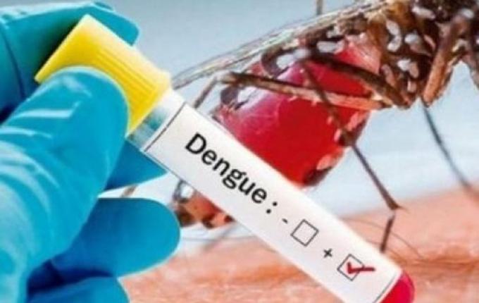 Sobe para 90 o número de casos de dengue em São Miguel