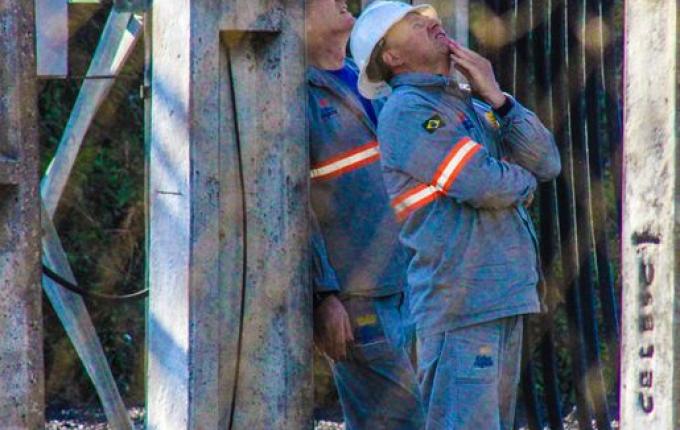 VÍDEO: Pombo causa curto-circuito e deixa mais de 35 mil consumidores sem energia