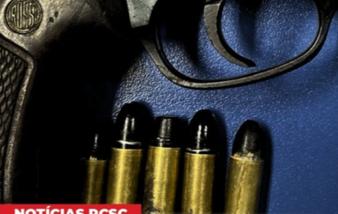 Homem é preso em flagrante por posse irregular de arma de fogo e munições