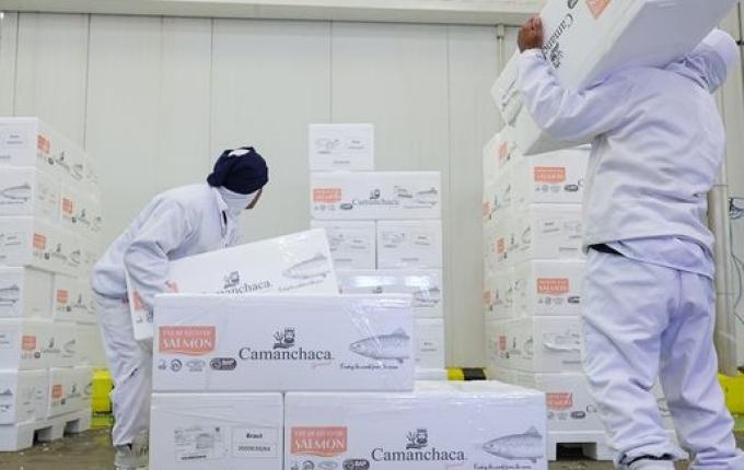 Sine Santa Catarina oferece mais de 8 mil vagas de emprego em todo o estado